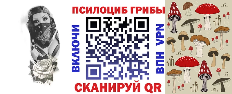 купить наркоту  Полярный  Галлюциногенные грибы Psilocybine cubensis 