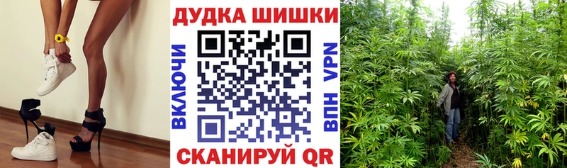 Марихуана индика  OMG вход  Полярный 